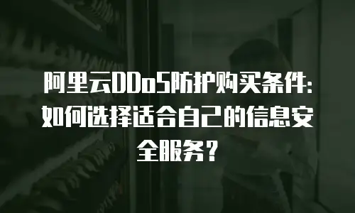 阿里云DDoS防护购买条件：如何选择适合自己的信息安全服务？
