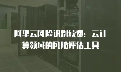 阿里云风险识别续费：云计算领域的风险评估工具