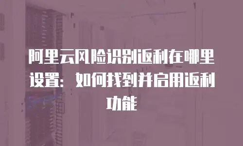 阿里云风险识别返利在哪里设置：如何找到并启用返利功能