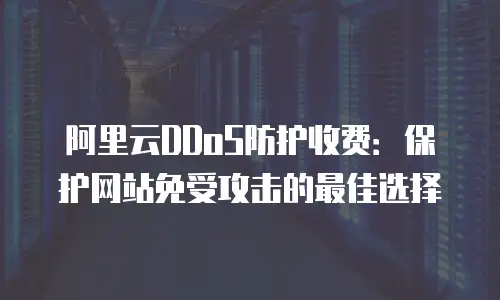 阿里云DDoS防护收费：保护网站免受攻击的最佳选择