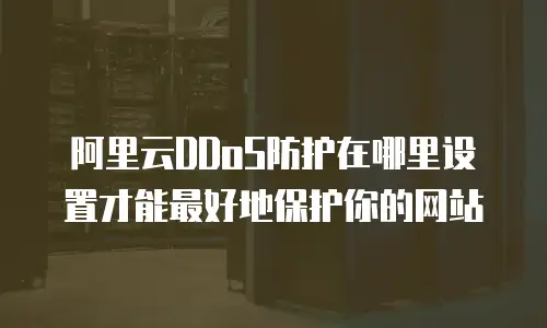 阿里云DDoS防护在哪里设置才能最好地保护你的网站