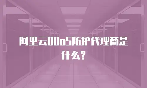 阿里云DDoS防护代理商是什么？