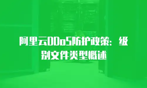 阿里云DDoS防护政策：级别文件类型概述