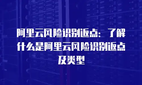 阿里云风险识别返点：了解什么是阿里云风险识别返点及类型