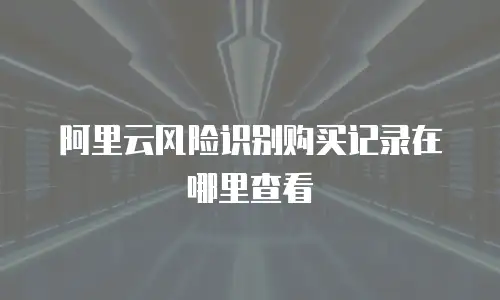 阿里云风险识别购买记录在哪里查看