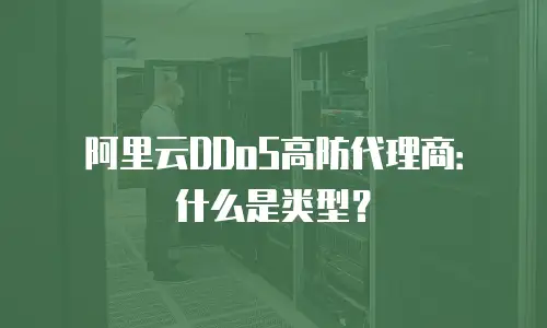 阿里云DDoS高防代理商：什么是类型？