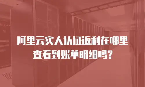阿里云实人认证返利在哪里查看到账单明细吗？