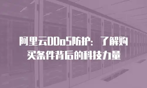 阿里云DDoS防护：了解购买条件背后的科技力量