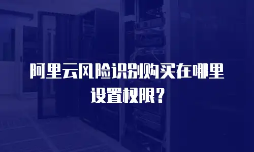 阿里云风险识别购买在哪里设置权限？