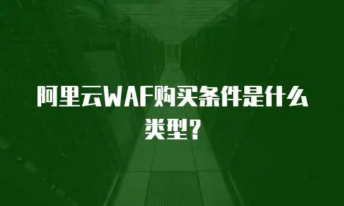 阿里云WAF购买条件是什么类型？