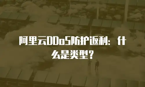 阿里云DDoS防护返利：什么是类型？