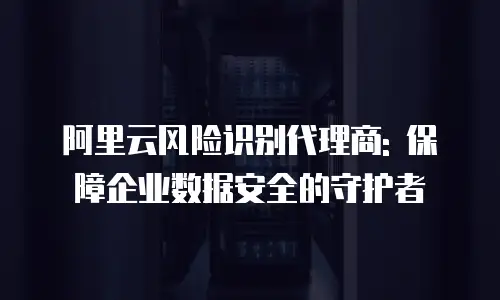 阿里云风险识别代理商: 保障企业数据安全的守护者
