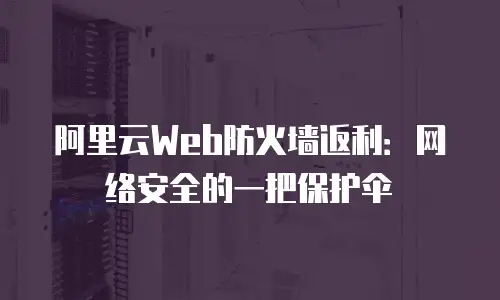 阿里云Web防火墙返利：网络安全的一把保护伞