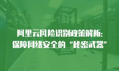 阿里云风险识别政策解析：保障网络安全的“秘密武器”