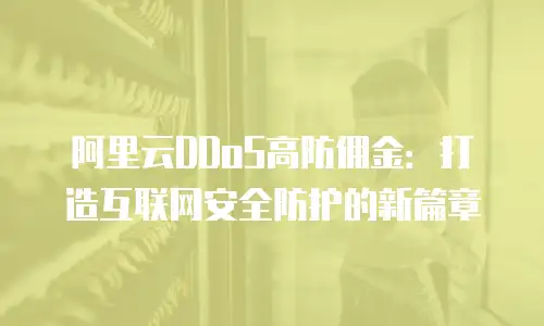 阿里云DDoS高防佣金：打造互联网安全防护的新篇章