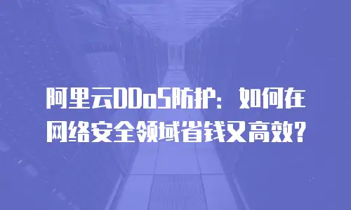 阿里云DDoS防护：如何在网络安全领域省钱又高效？