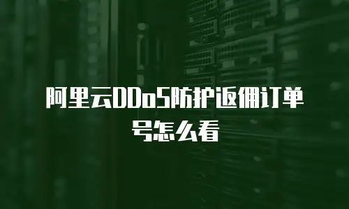 阿里云DDoS防护返佣订单号怎么看