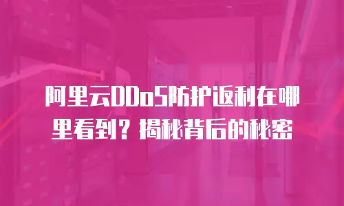 阿里云DDoS防护返利在哪里看到？揭秘背后的秘密