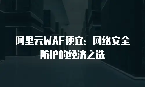 阿里云WAF便宜：网络安全防护的经济之选