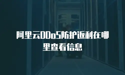 阿里云DDoS防护返利在哪里查看信息