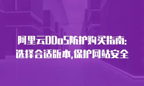 阿里云DDoS防护购买指南: 选择合适版本,保护网站安全