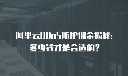 阿里云DDoS防护佣金揭秘：多少钱才是合适的？