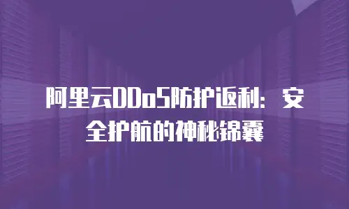 阿里云DDoS防护返利：安全护航的神秘锦囊