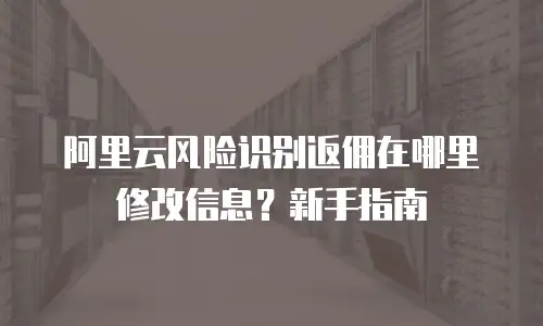 阿里云风险识别返佣在哪里修改信息？新手指南