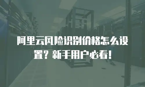 阿里云风险识别价格怎么设置？新手用户必看！