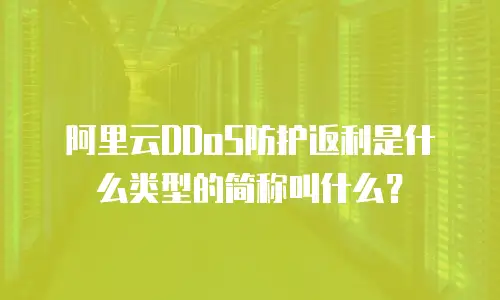 阿里云DDoS防护返利是什么类型的简称叫什么？