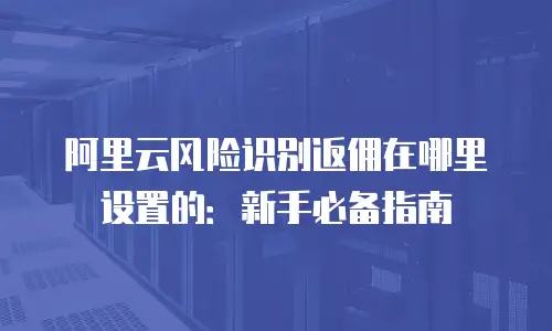 阿里云风险识别返佣在哪里设置的：新手必备指南