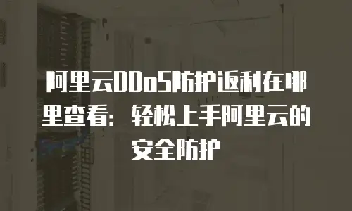 阿里云DDoS防护返利在哪里查看：轻松上手阿里云的安全防护
