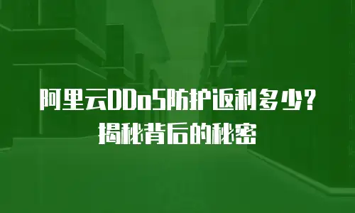 阿里云DDoS防护返利多少？揭秘背后的秘密
