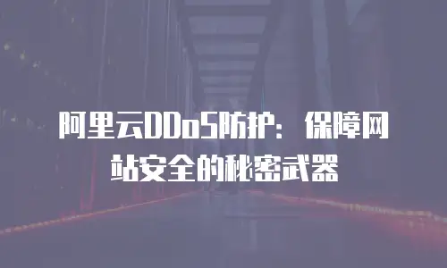 阿里云DDoS防护：保障网站安全的秘密武器