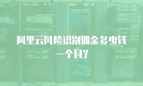 阿里云风险识别佣金多少钱一个月？