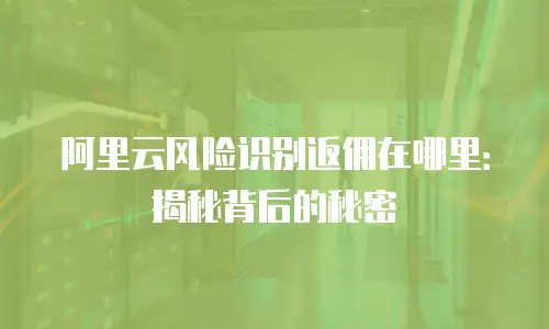 阿里云风险识别返佣在哪里：揭秘背后的秘密
