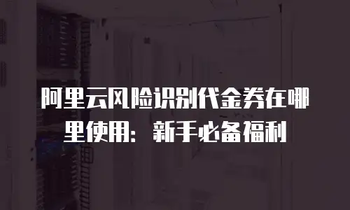 阿里云风险识别代金券在哪里使用：新手必备福利