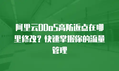 阿里云DDoS高防返点在哪里修改？快速掌握你的流量管理