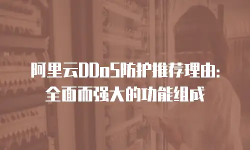 阿里云DDoS防护推荐理由：全面而强大的功能组成