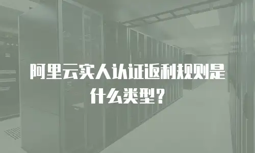 阿里云实人认证返利规则是什么类型？