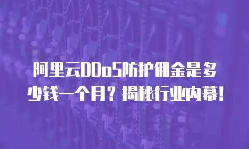 阿里云DDoS防护佣金是多少钱一个月？揭秘行业内幕！