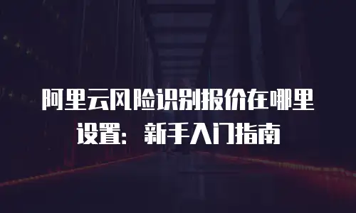 阿里云风险识别报价在哪里设置：新手入门指南