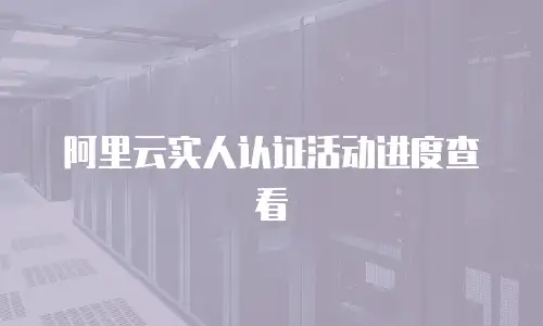 阿里云实人认证活动进度查看