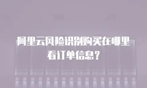 阿里云风险识别购买在哪里看订单信息？