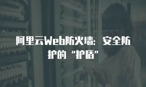 阿里云Web防火墙：安全防护的“护盾”