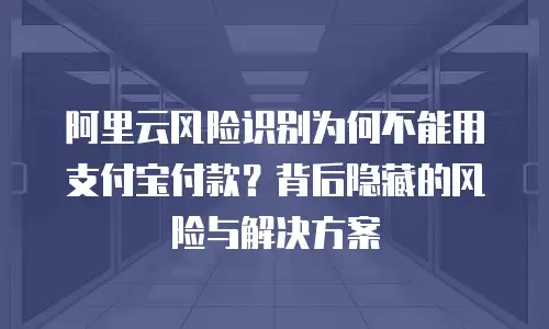 阿里云风险识别为何不能用支付宝付款？背后隐藏的风险与解决方案