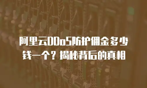 阿里云DDoS防护佣金多少钱一个？揭秘背后的真相
