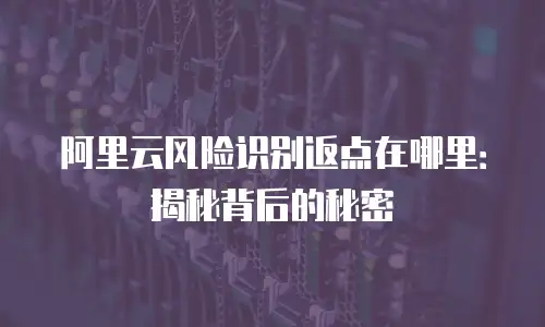 阿里云风险识别返点在哪里：揭秘背后的秘密