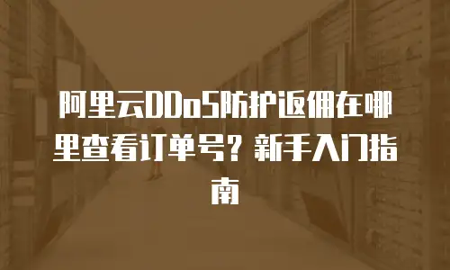 阿里云DDoS防护返佣在哪里查看订单号？新手入门指南