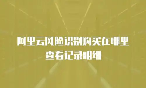 阿里云风险识别购买在哪里查看记录明细